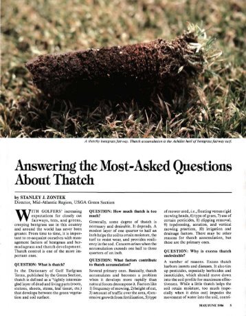 Answering the Most-Asked Questions About Thatch - USGA Green ...