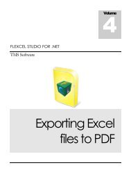 Exporting Excel files to PDF - TMS Software