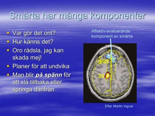 Kropp-sjÃ¤l eller mittemellan