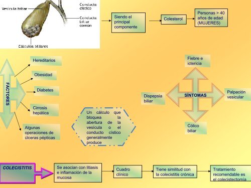 Colecistitis - Reeme.arizona.edu