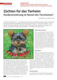 ZÃƒÂ¼chten fÃƒÂ¼r das Tierheim - WUFF - online