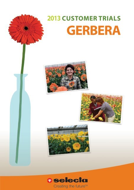 Gerbera CT 2013 pdf - Selecta Cut Flowers