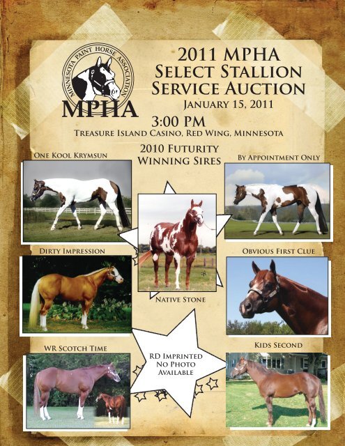 2011 MPHA Select Stallion Service Auction - Minnesota Paint Horse ...