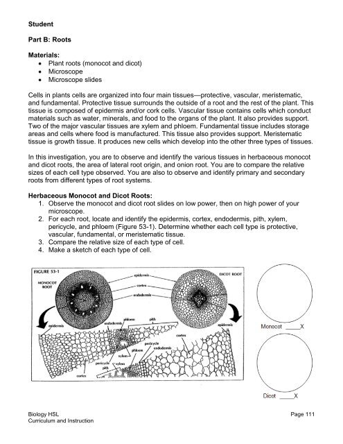 Biology - HOT Science Lab