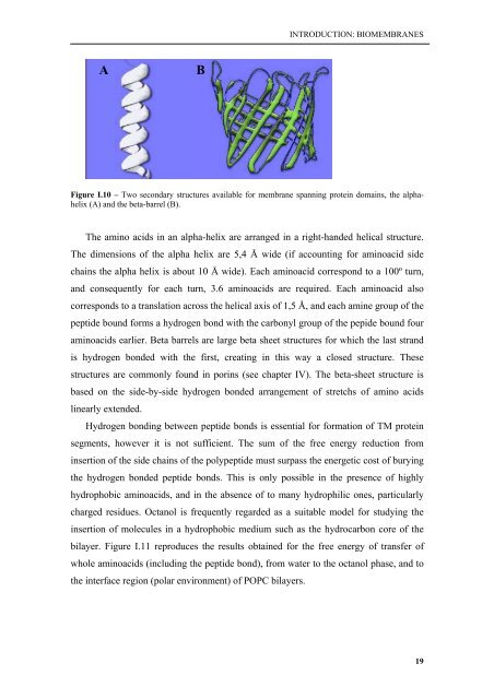 Biophysical studies of membrane proteins/peptides. Interaction with ...