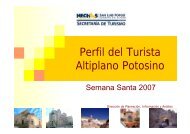 Perfil del Turista Semana Santa 2007 Altiplano.pdf