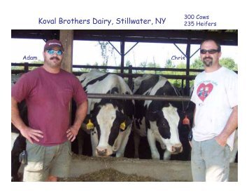 Koval Brothers Dairy, Stillwater, NY