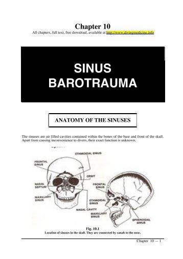 SINUS BAROTRAUMA - Diving Medicine for SCUBA Divers