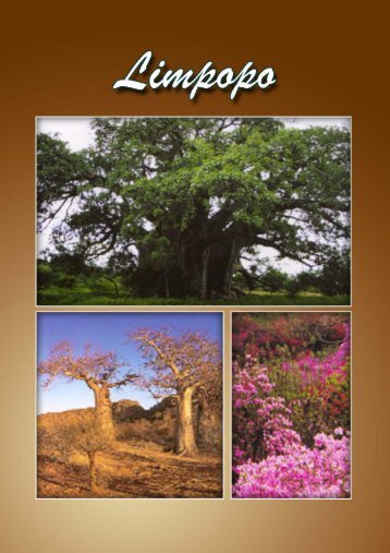 Limpopo article - South African Vacations