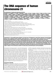 articles The DNA sequence of human chromosome 21