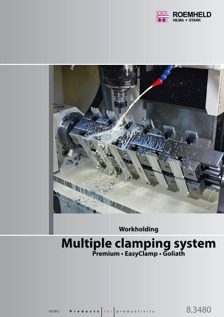 Multiple clamping system