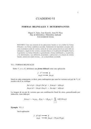 Cuaderno VI: Formas bilineales y determinantes.