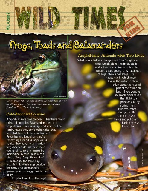 to download Frogs, Toads and Salamanders (PDF file, 560 KB)