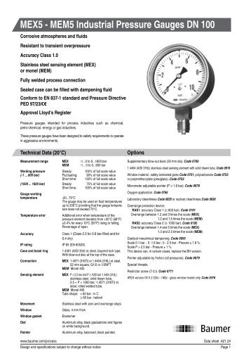 MEX5 - MEM5 Industrial Pressure Gauges DN 100 - Fine Controls