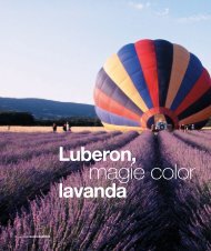 Luberon, magie color lavanda - Guido Barosio