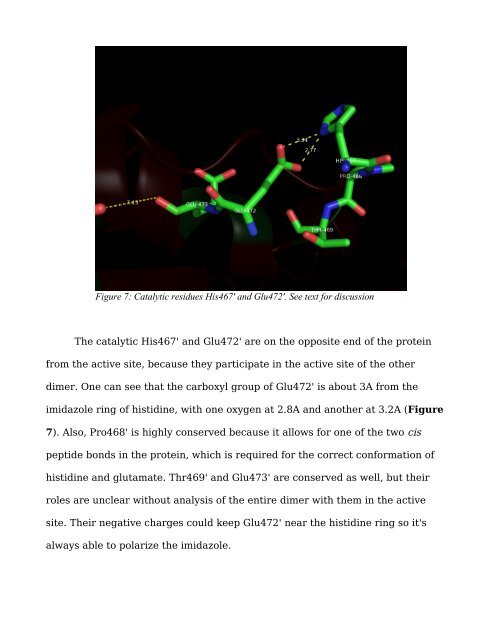 Discovering critical residues in glutathione reductase - Gentoo