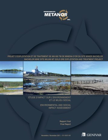 ÉTUDE D'IMPACT SUR L'ENVIRONNEMENT ET LE MILIEU SOCIAL