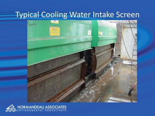 316(b) Rule Controlling Cooling Water Intakes