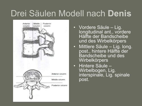 MOUSAVI-Posttraumatische Kyphose Jän. 2010.pdf (539KB)