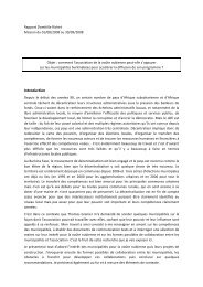 lire le rapport de Domitille Richet - VoÃ»te nubienne