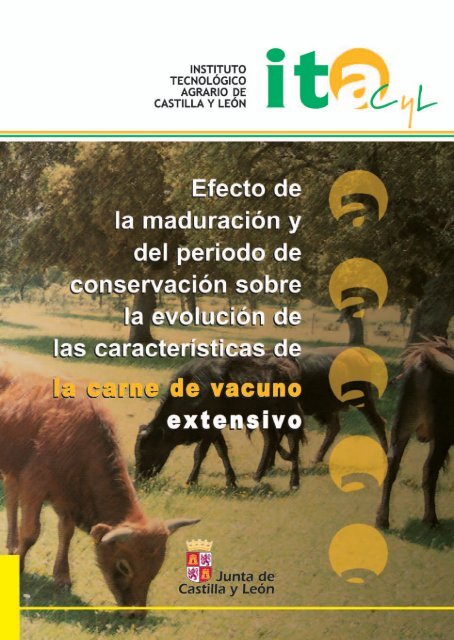 Descarga del documento en PDF - ITACyL