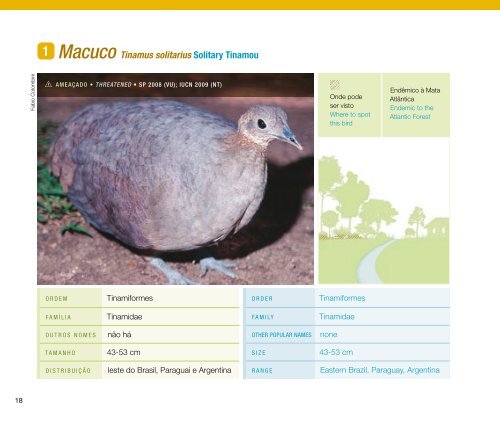 Guia de aves Mata Atlântica Paulista - Secretaria do Meio Ambiente