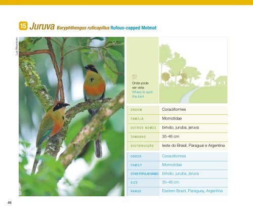 Guia de aves Mata Atlântica Paulista - Secretaria do Meio Ambiente
