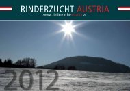 ZAR-Bildwandkalender-2012