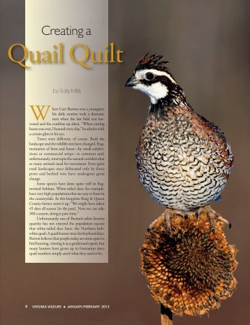 Quail Quilt - Virginia Department of Game and Inland Fisheries