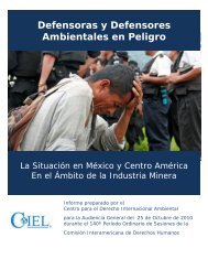 Defensoras y Defensores Ambientales en Peligro - The Center for ...