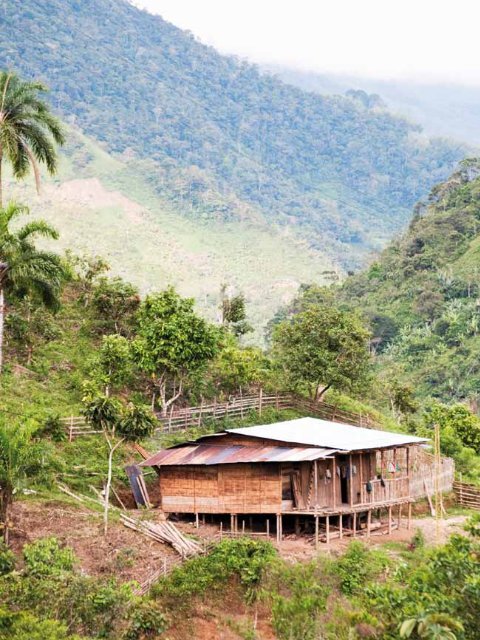 Mandato del II Encuentro de Mujeres IndÃ­genas Embera ChamÃ­ y del ...