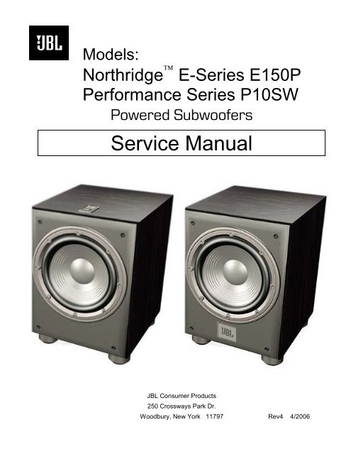 P10SW Service Manual Synthesis