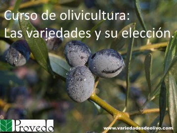 Curso de olivicultura. Las variedades del olivo