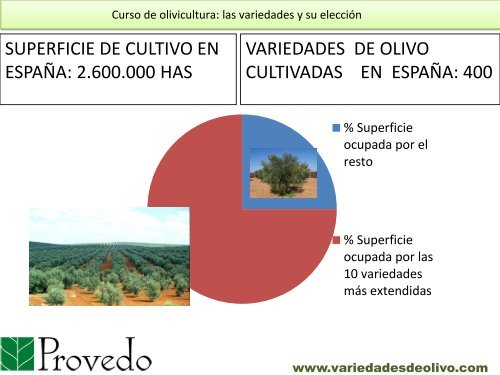 Curso de olivicultura. Las variedades del olivo