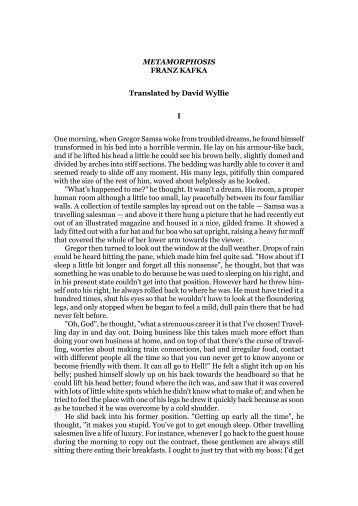 The metamorphosis analysis essay
