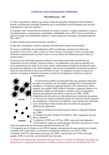 Problemas sobre Citoesqueleto e Motilidade Microfilamentos â MF 1 ...