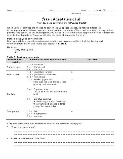 Crazy Adaptations Lab