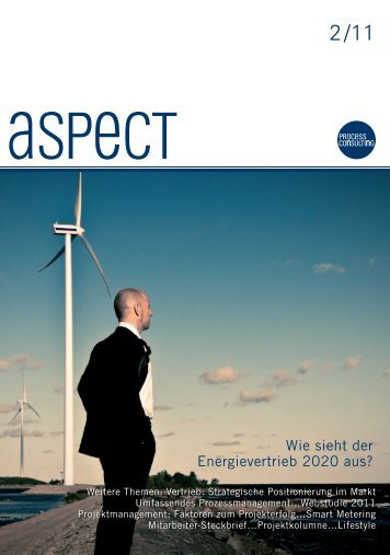 Wie sieht der Energievertrieb 2020 aus? - Process Management ...