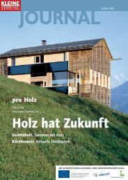 Holz hat Zukunft (pdf) - proHolz Kärnten