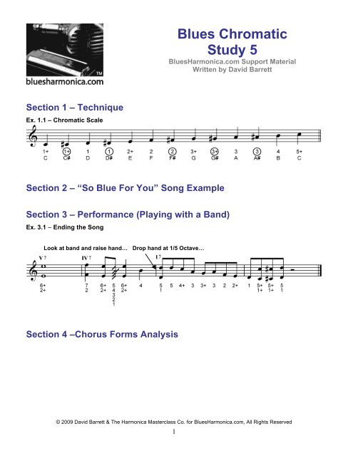 Blues Chromatic Study 5 [The Big One] - Blues Harmonica