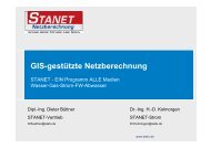 GIS-gestützte Netzberechnung - GEO LEIPZIG eV