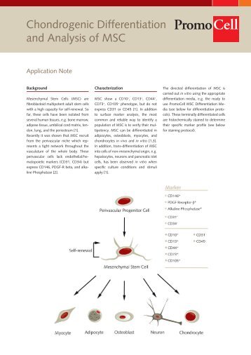 Chondrogenic Differentiation and Analysis of  MSC - PromoCell