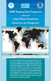 UNEP Regional Seas Programme Large Marine Ecosystems UNEP ...