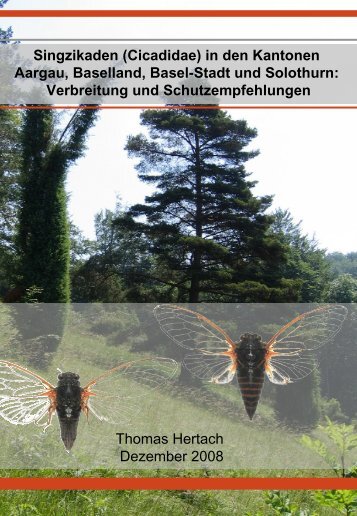 Singzikaden (Cicadidae) in den Kantonen  ... - Pro Natura Baselland