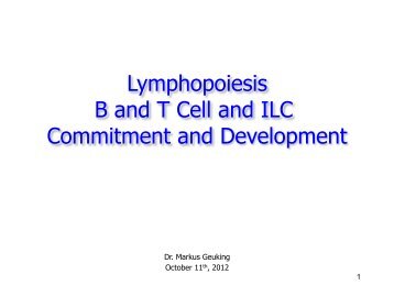 Lymphopoiesis B and T Cell and ILC Commitment and Development