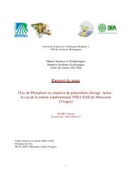 Rapport de stage - Inra