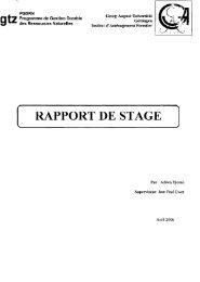 [97+] Police Ecriture Rapport De Stage