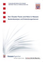 Der Cluster Forst und Holz in Hessen - Bundesverband ...