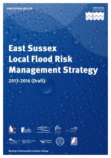 Draft East Sussex Local Flood Risk Management Strategy and ...