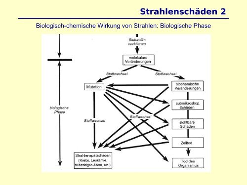 Atom- und Kernphysik